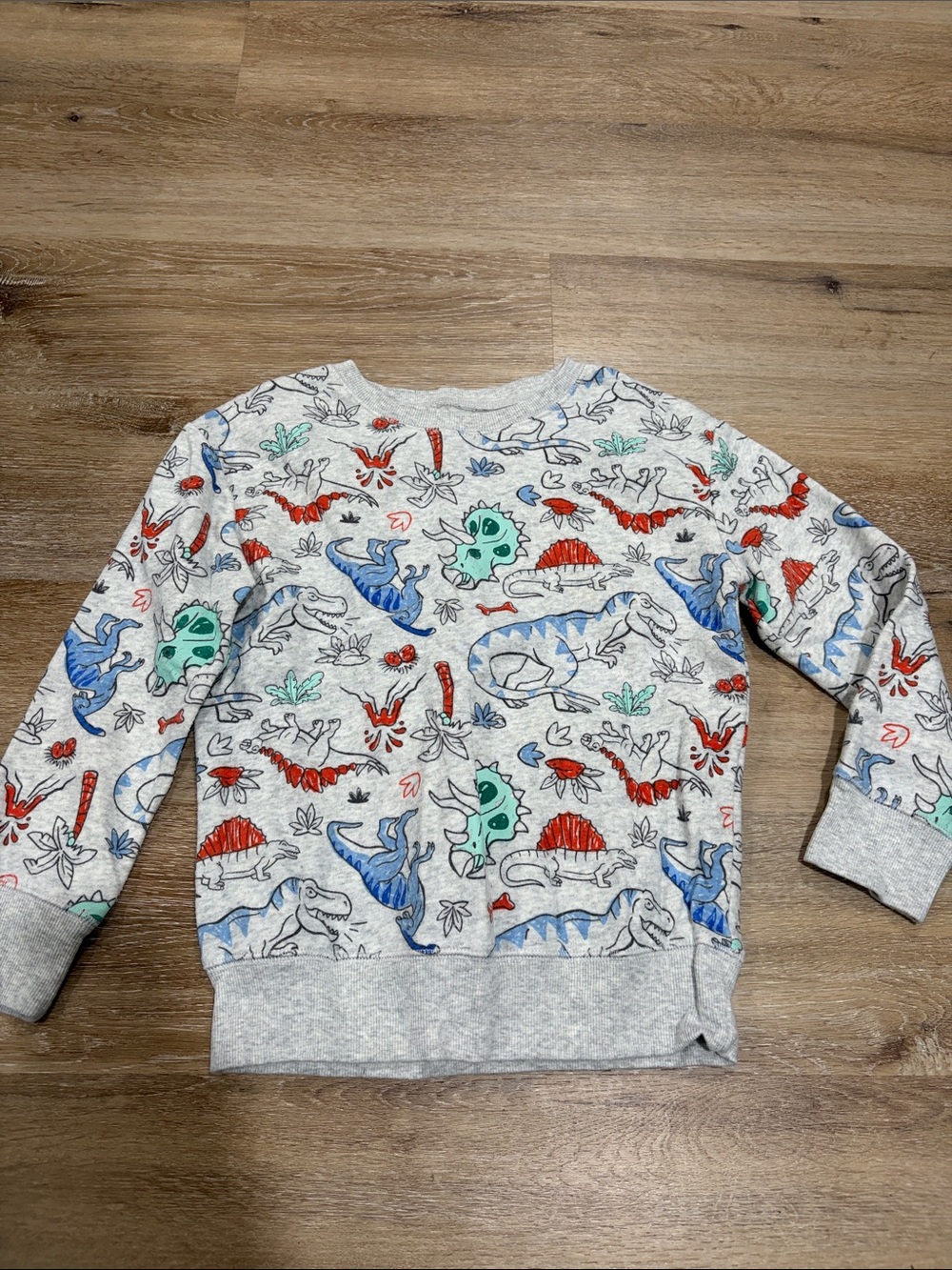 Kids Gray Dino Print Sweatshirt - softest fleece